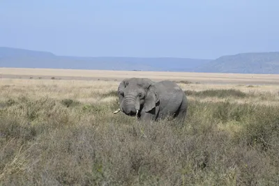 DSC_3883 (Large).JPG